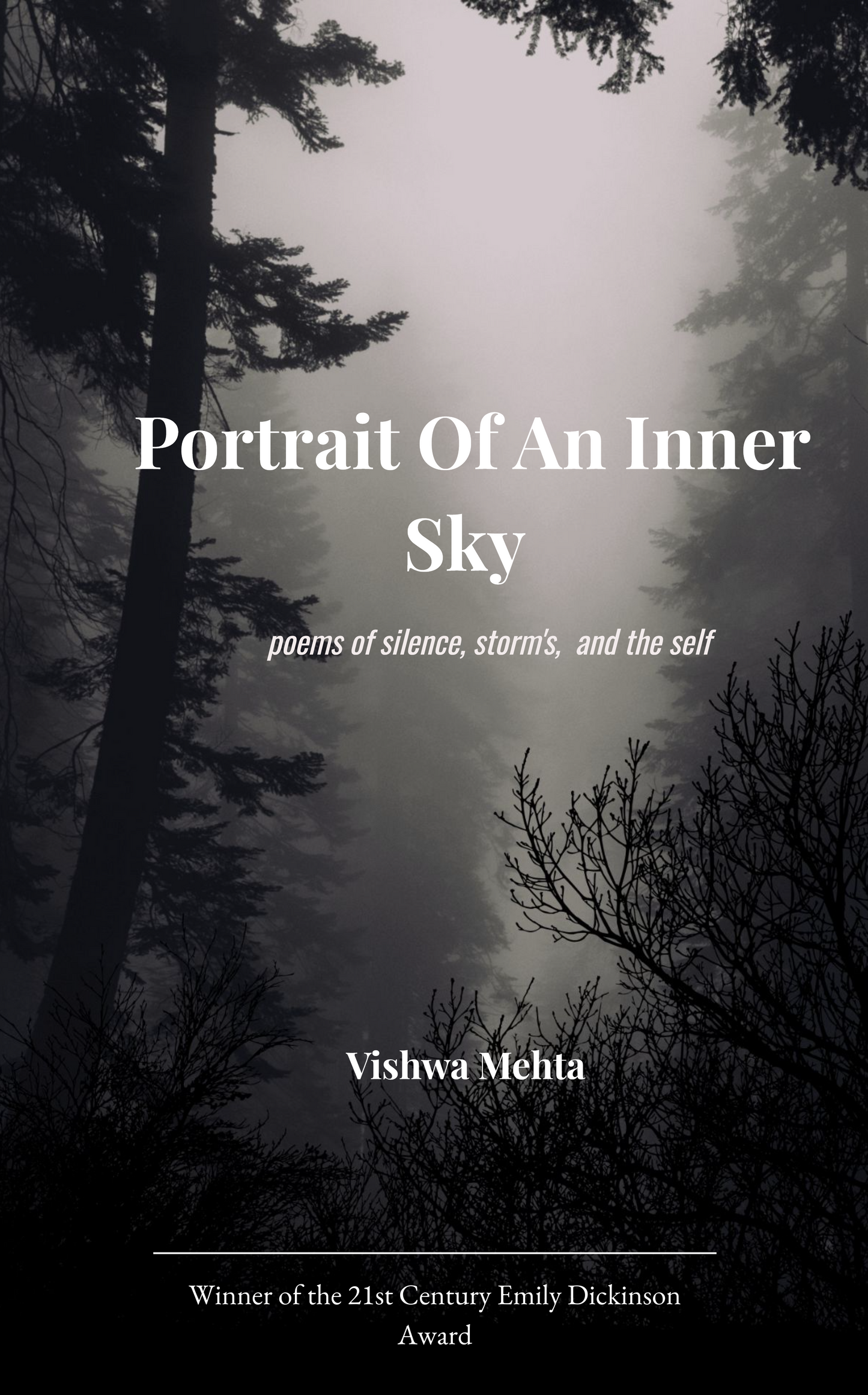 Portraits Of An  Inner Sky
