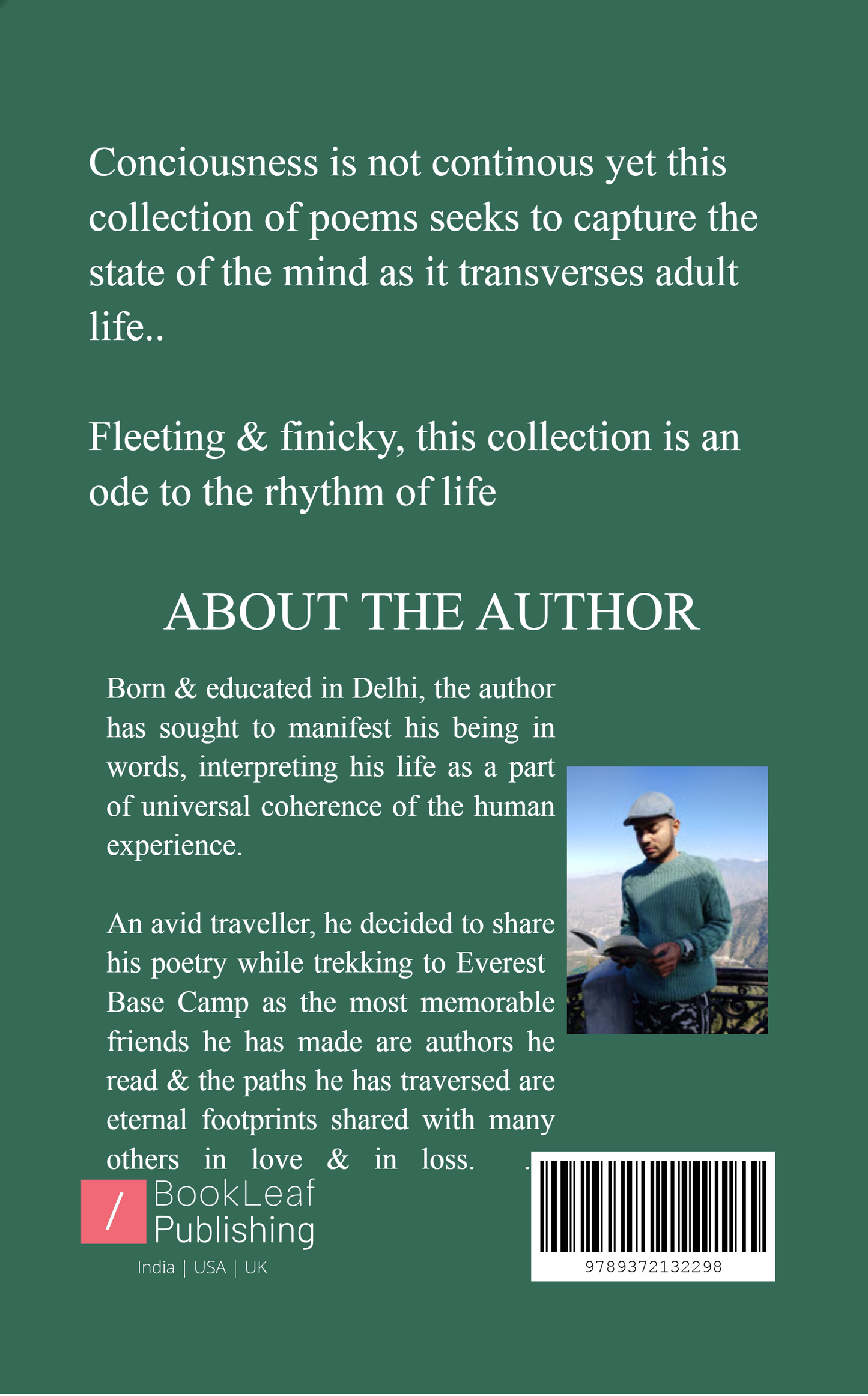 seashells on the shore