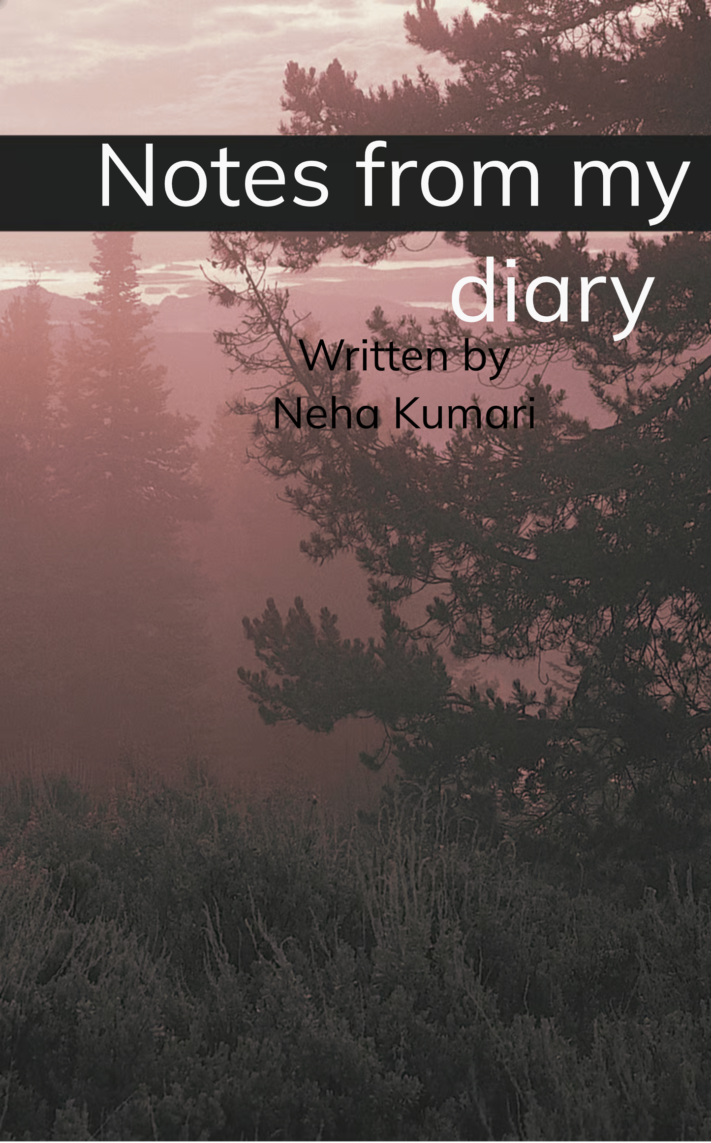 Notes from my diary