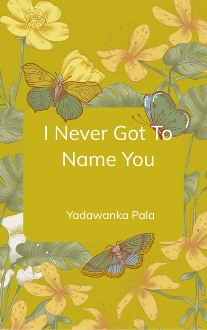 I Never Got To Name You