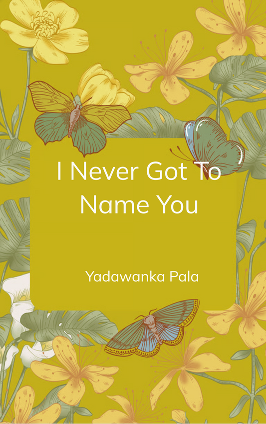 I Never Got To Name You