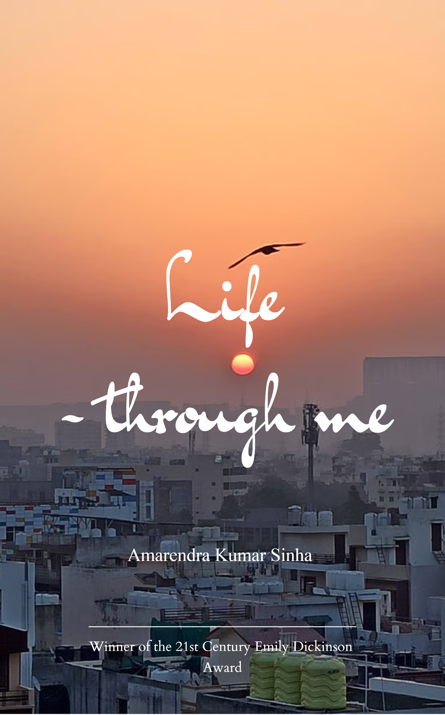 Life Through Me