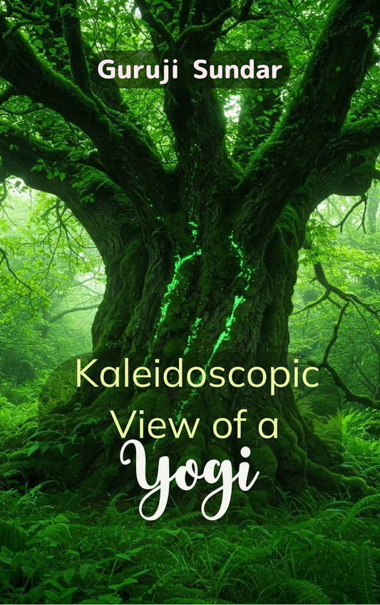 Kaleidoscopic View of a Yogi