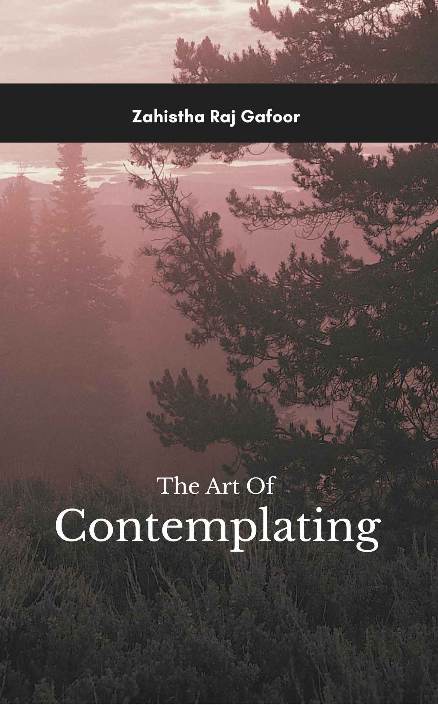 The Art of Contemplation