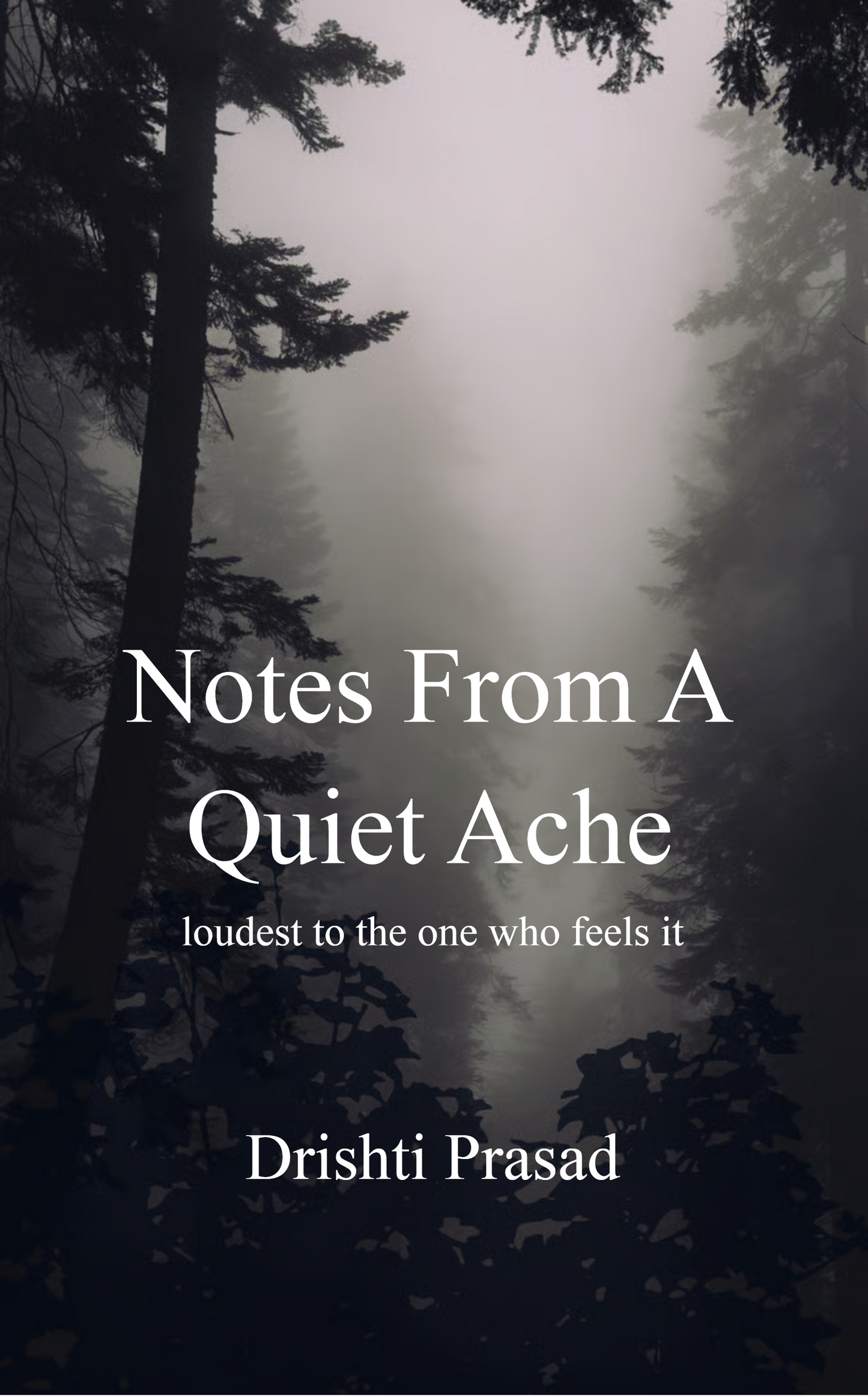 Notes from a quiet ache