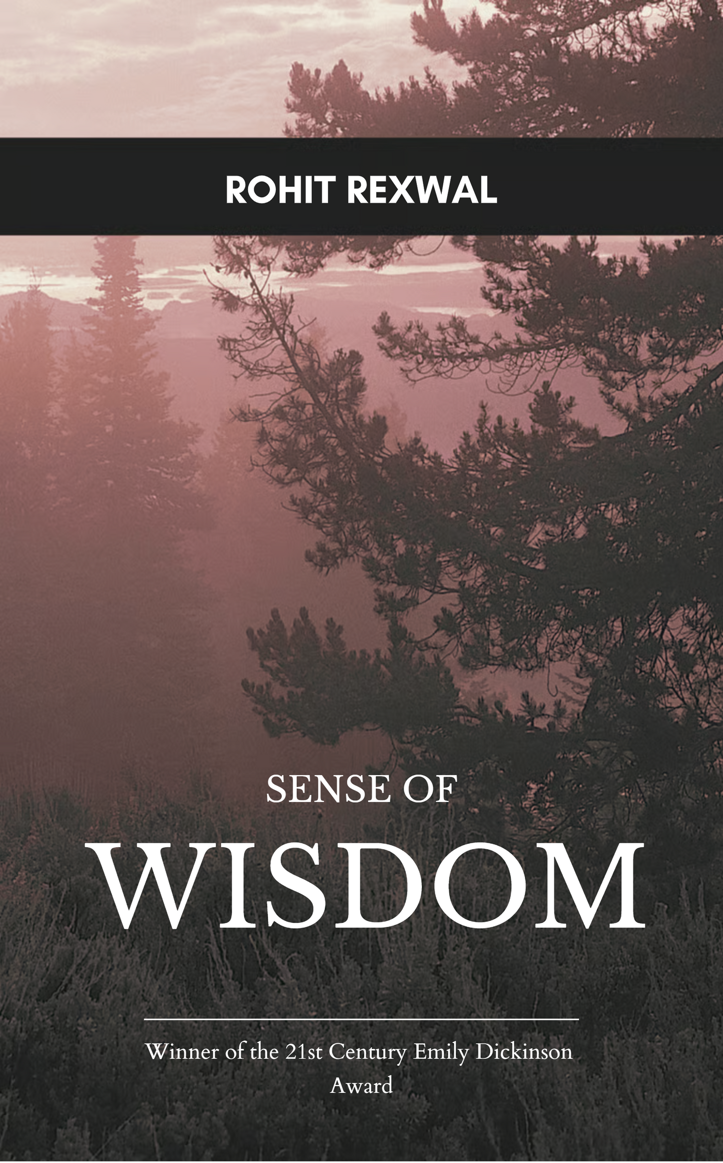 Sense of Wisdom: A Poetry Collection