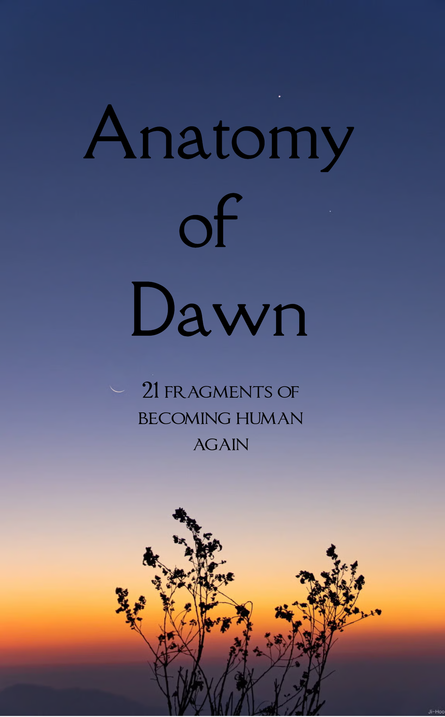 Anatomy of Dawn