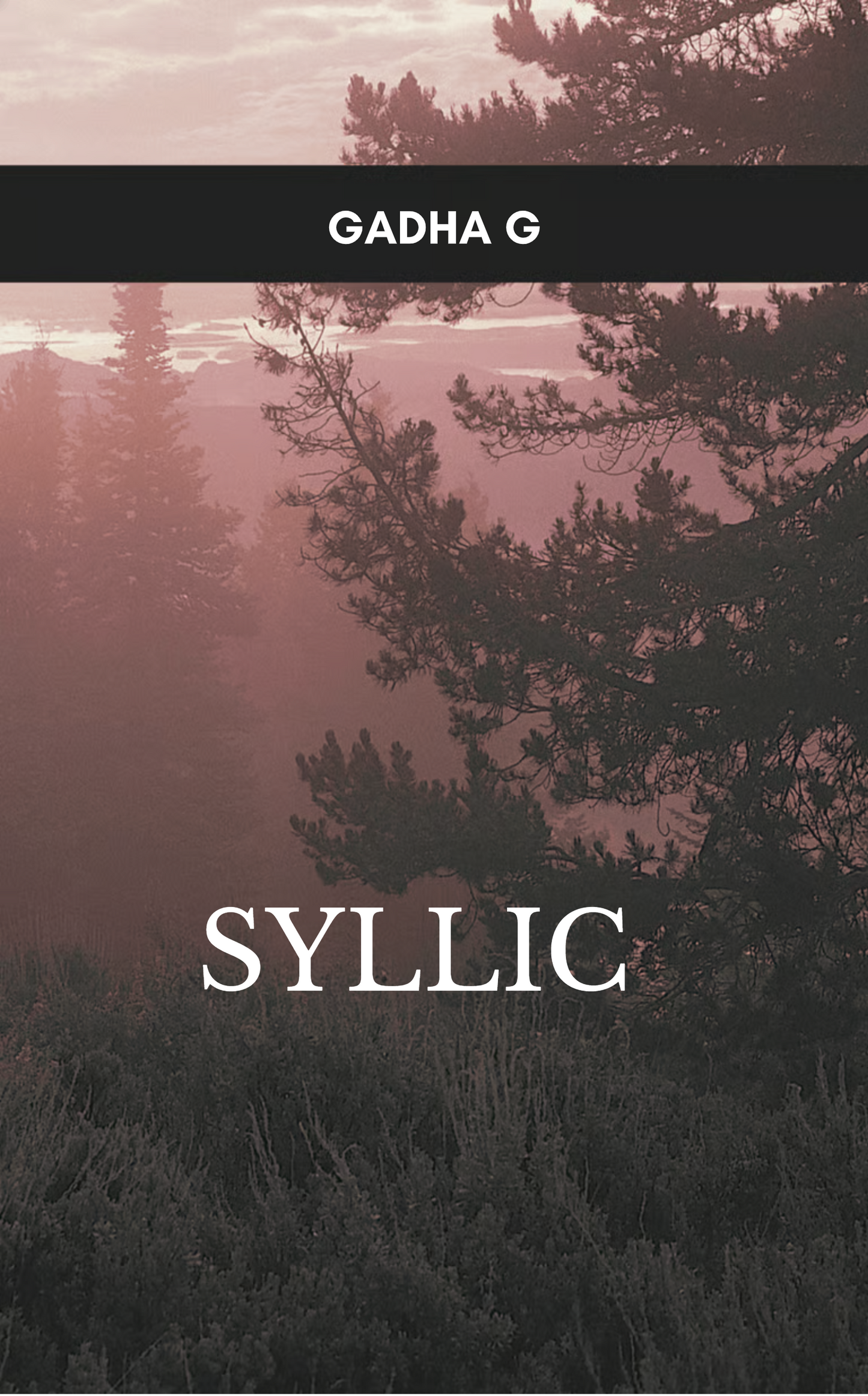 Syllic