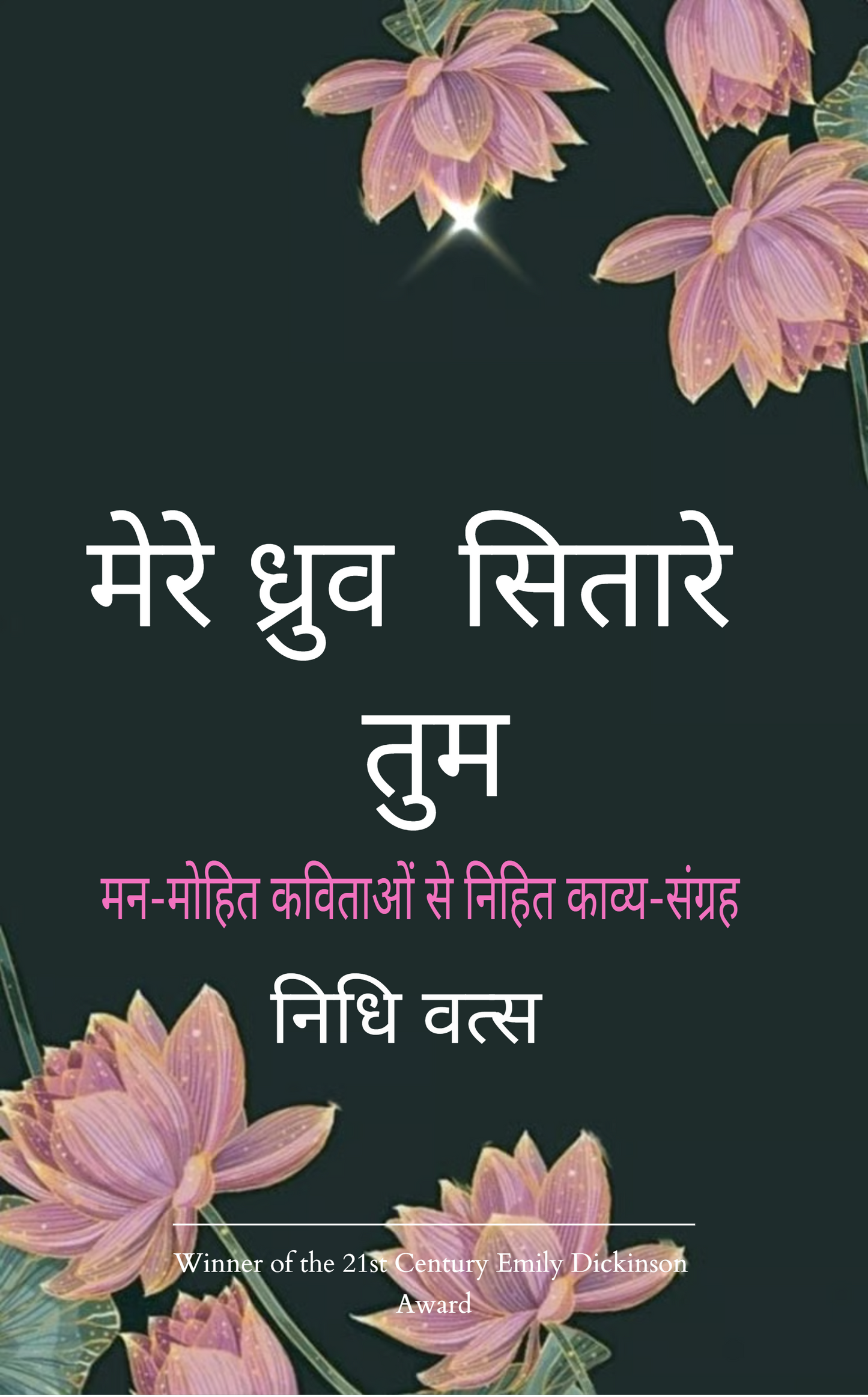 मेरे ध्रुव सितारे तुम