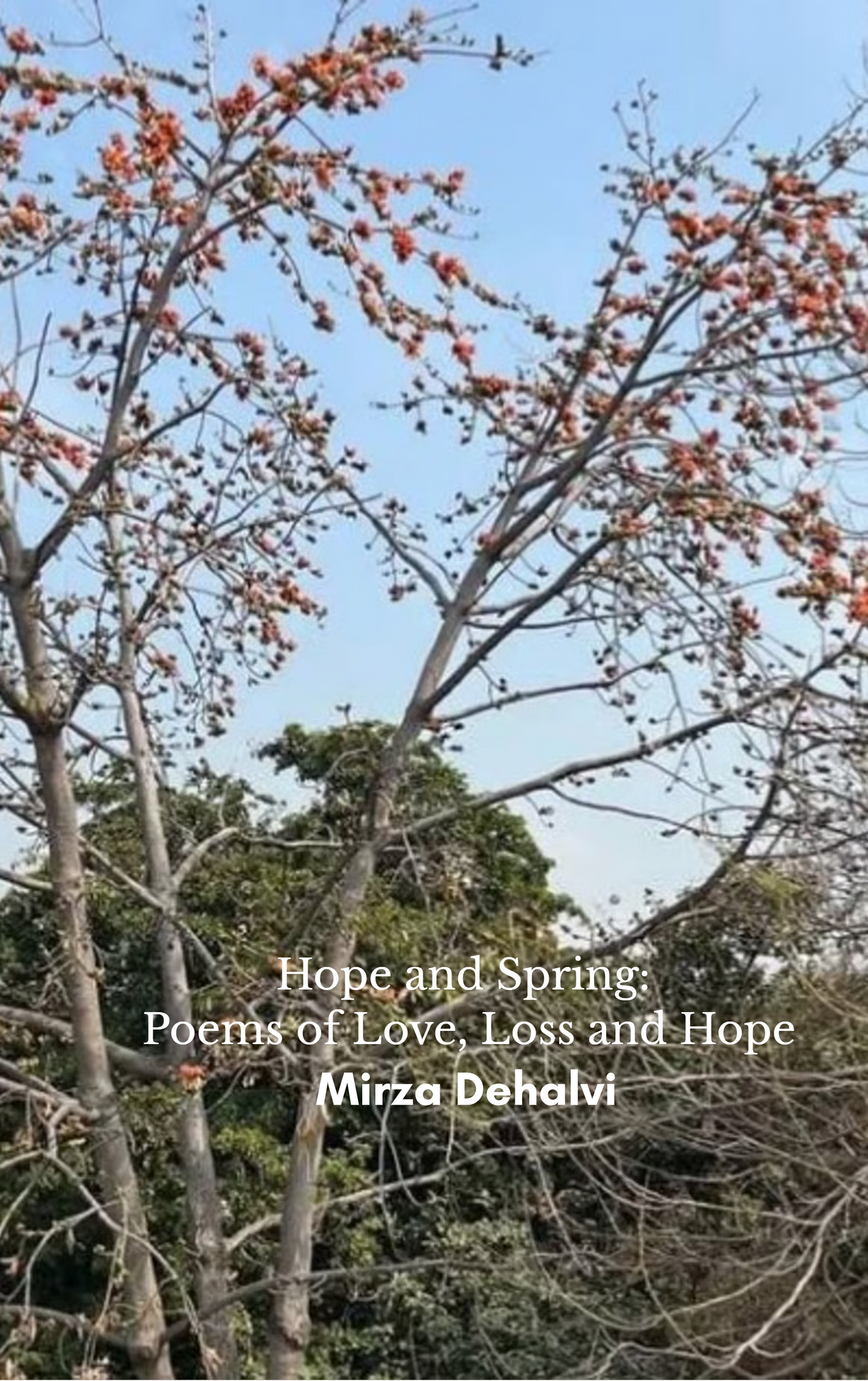 Hope and Spring: Poems of Love, Loss and Hope
