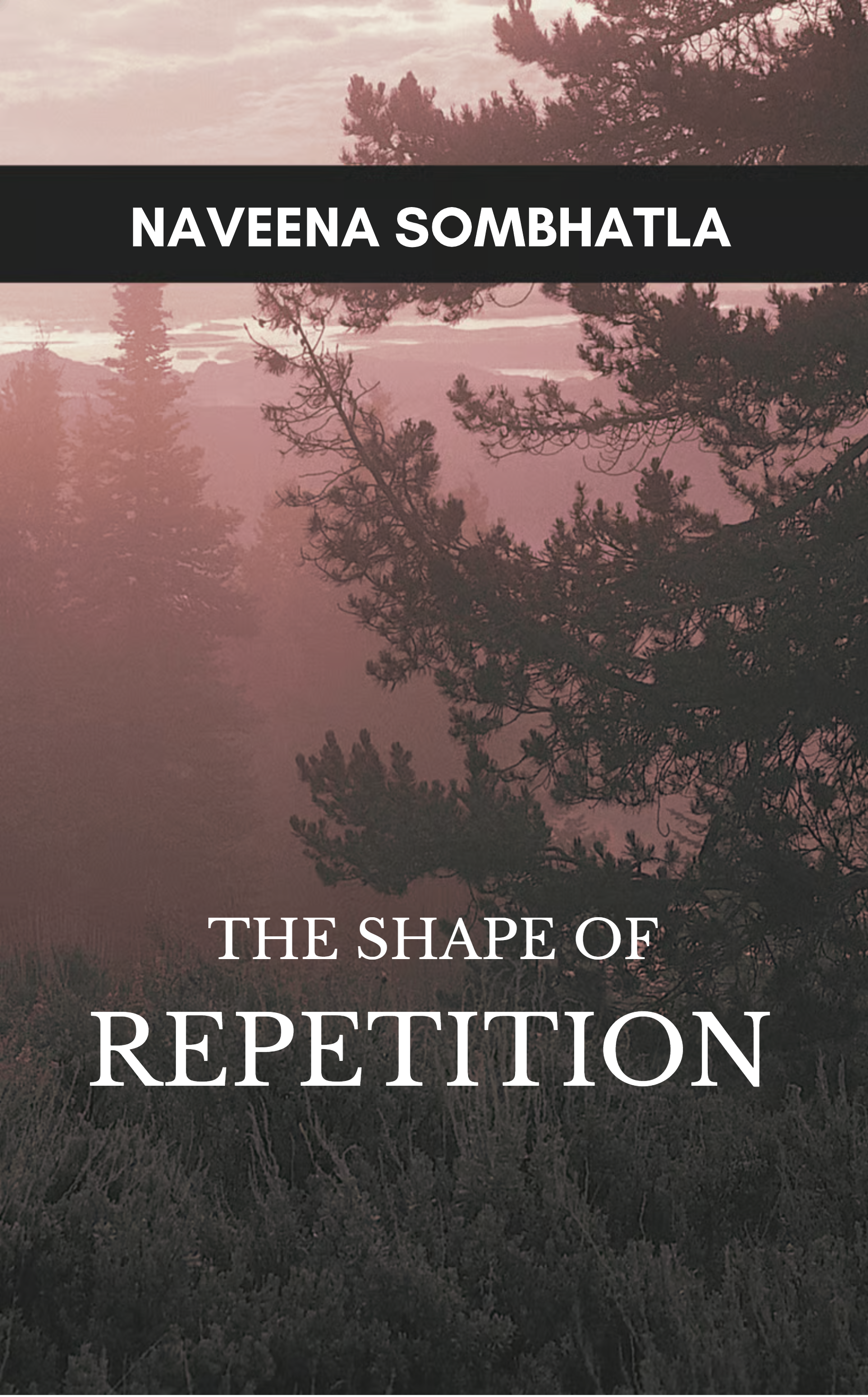 The Shape of Repetition – BookLeaf Publishing Bookstore