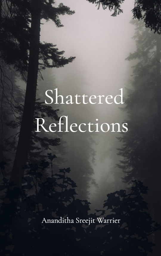 Shattered Reflections