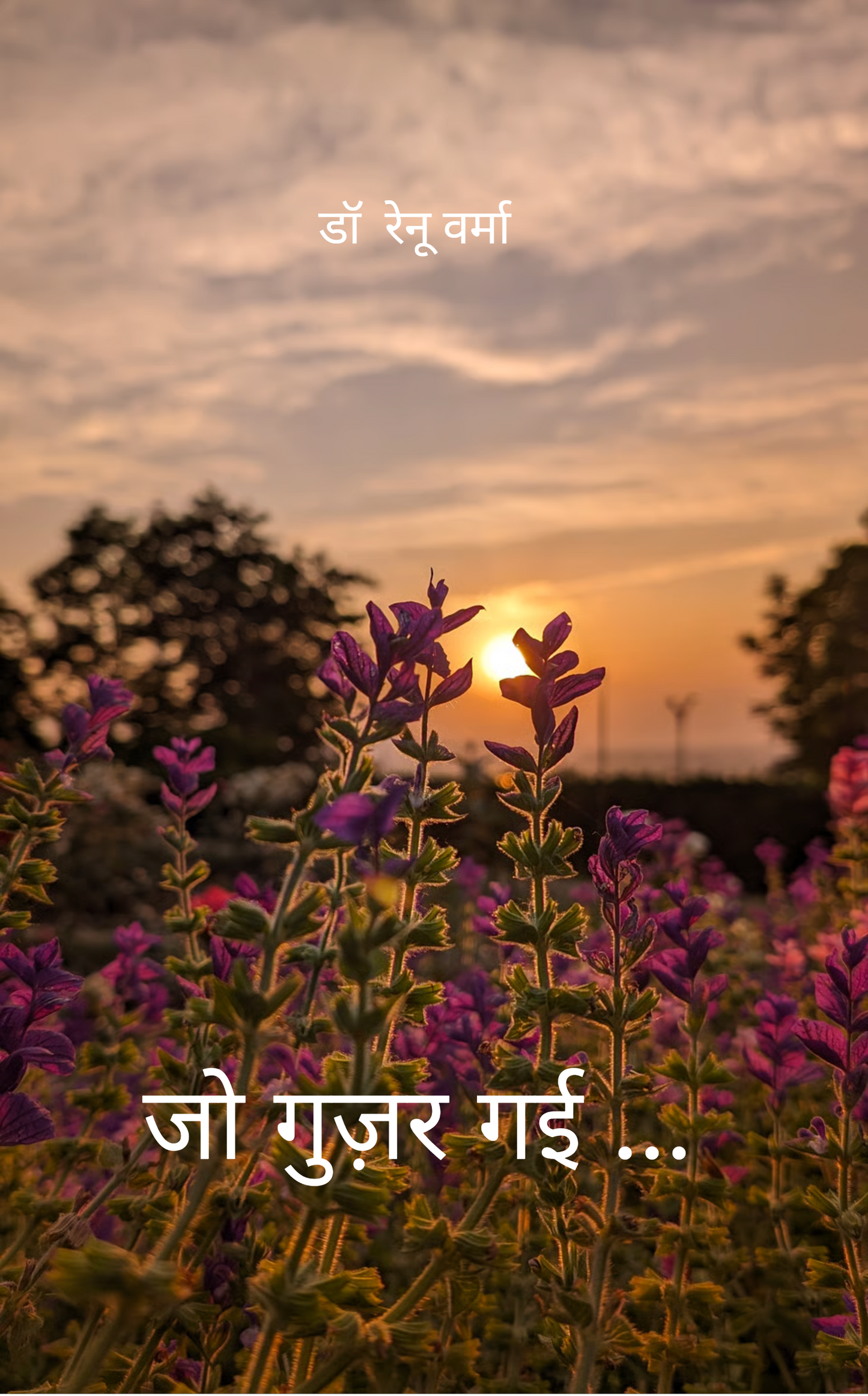 जो गुज़र गई . . .