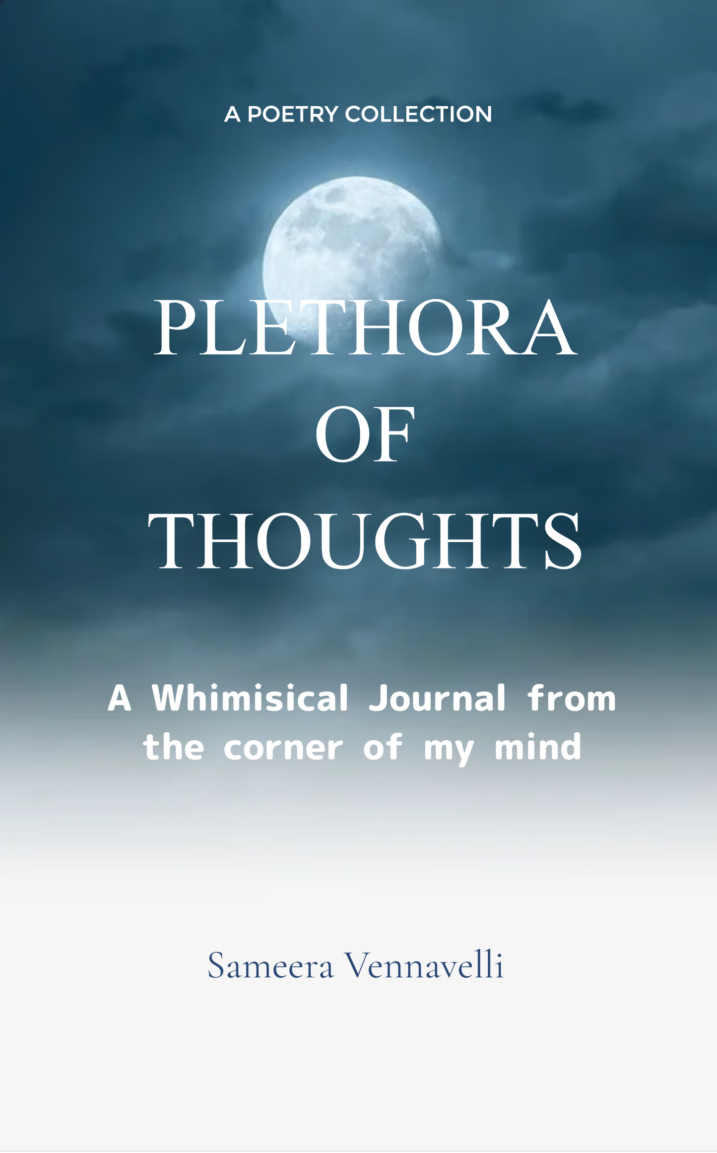 PLETHORA OF THOUGHTS