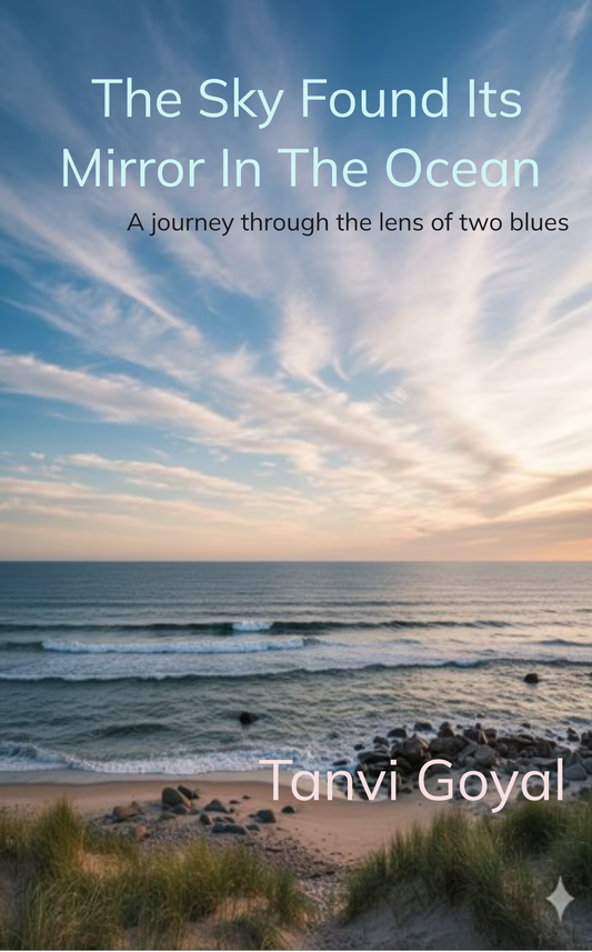 The sky found its mirror in the ocean