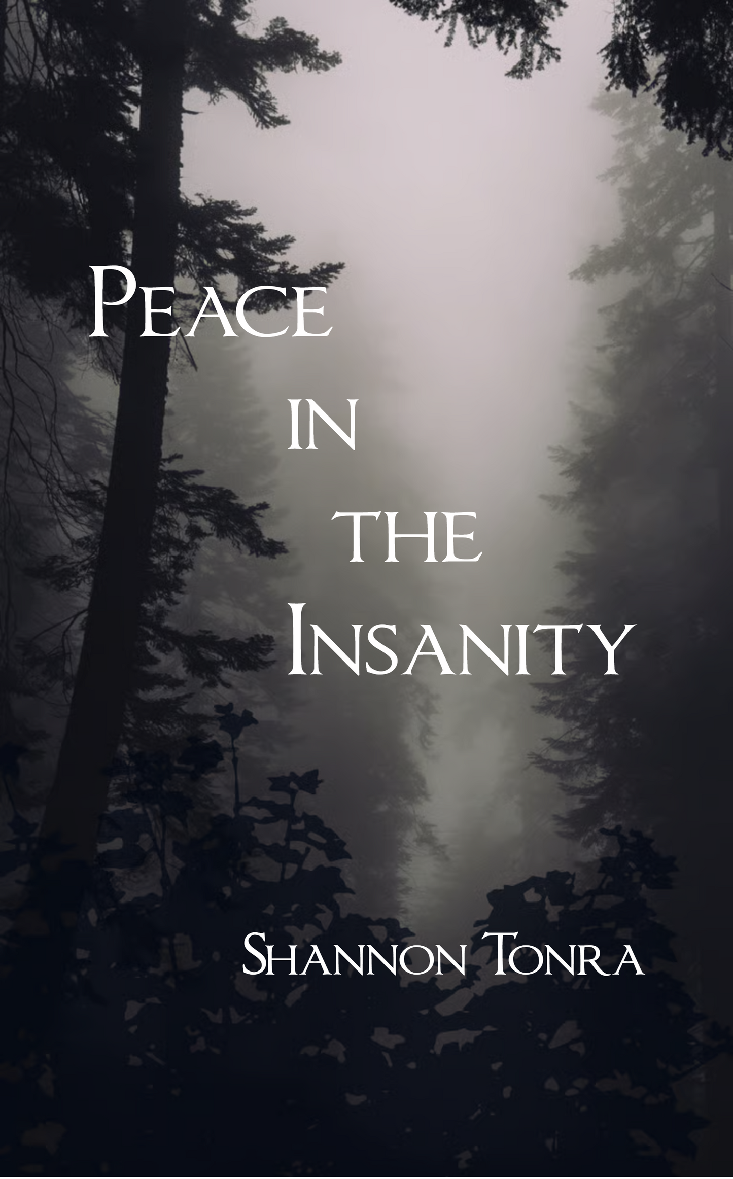 Peace in the Insanity