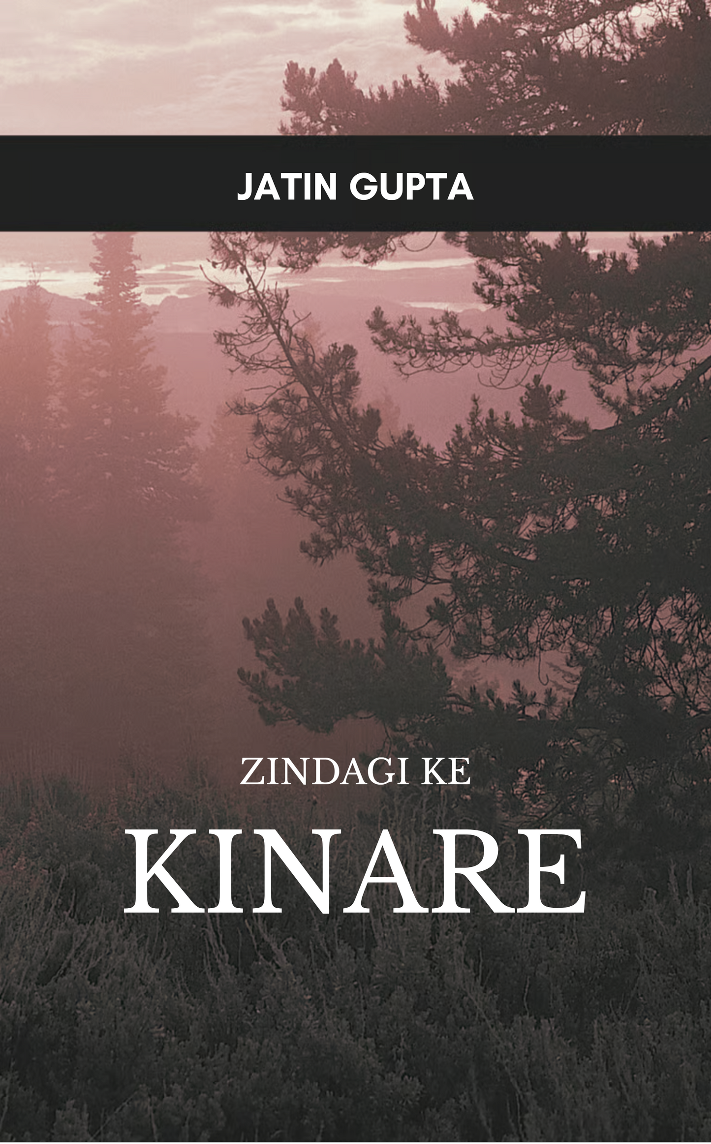 Zindagi ke Kinare
