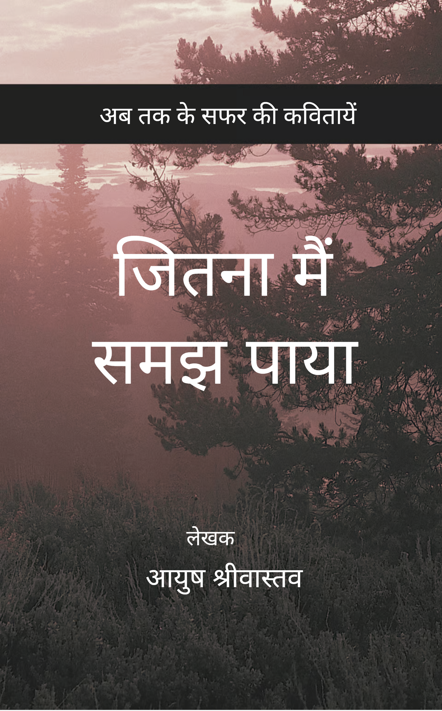 जितना मैं समझ पाया