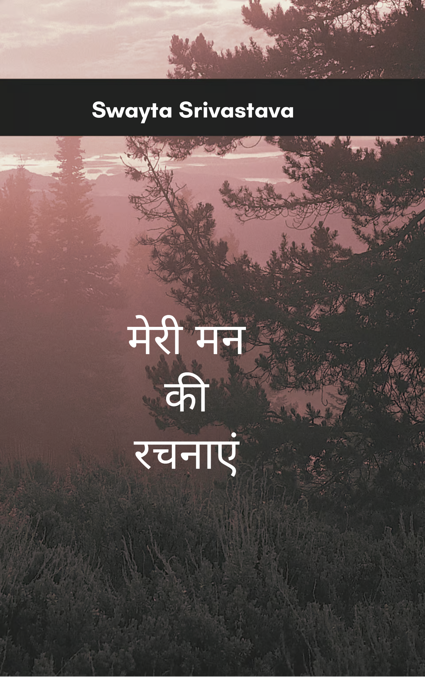 मेरी मन की रचनाएं