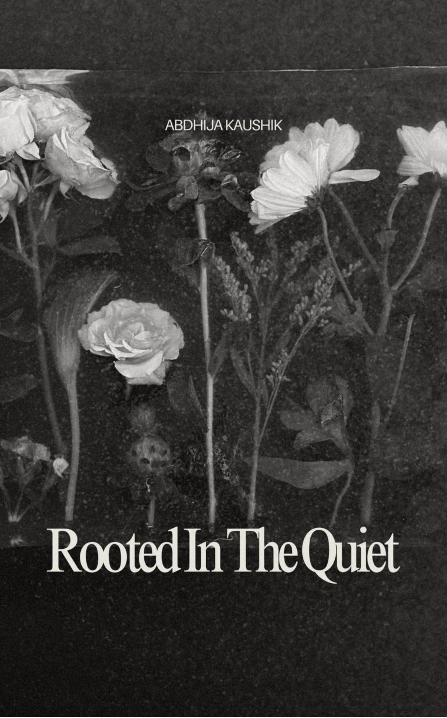 Rooted In The Quiet