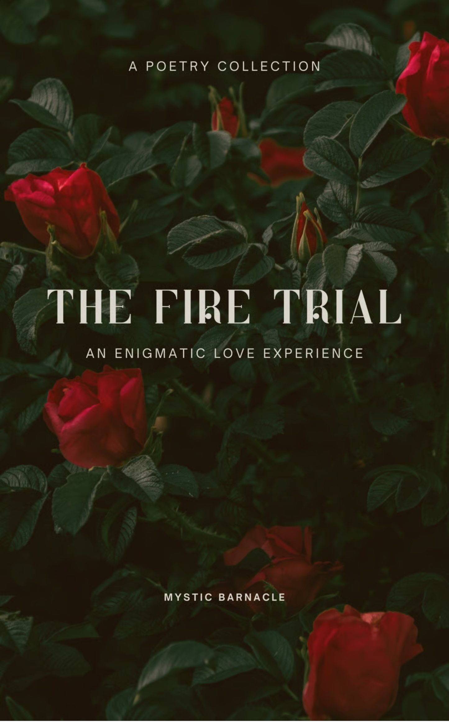 The Fire Trial
