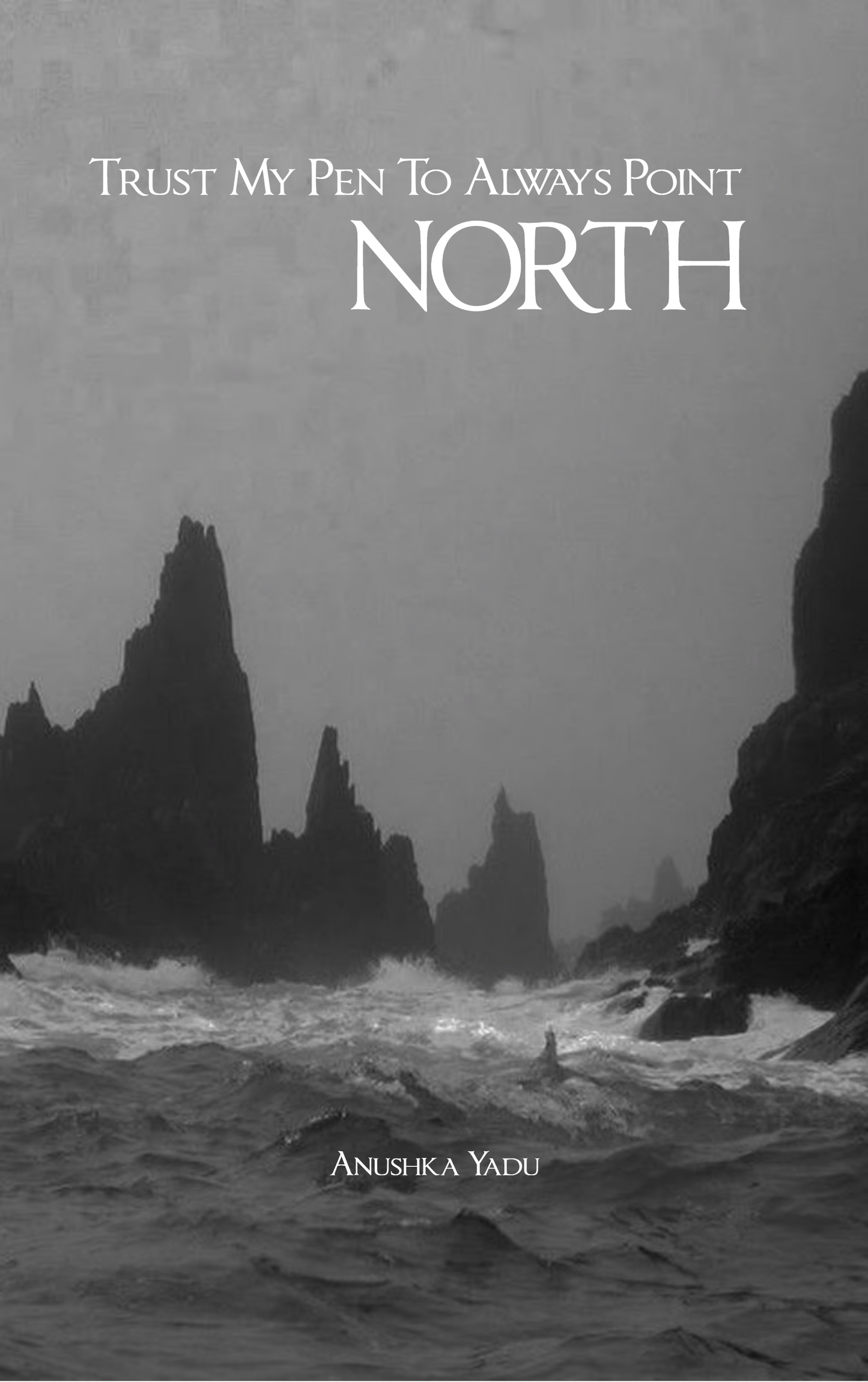 Trust My Pen To Always Point North