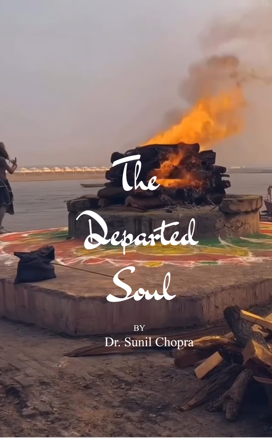 THE DEPARTED SOUL