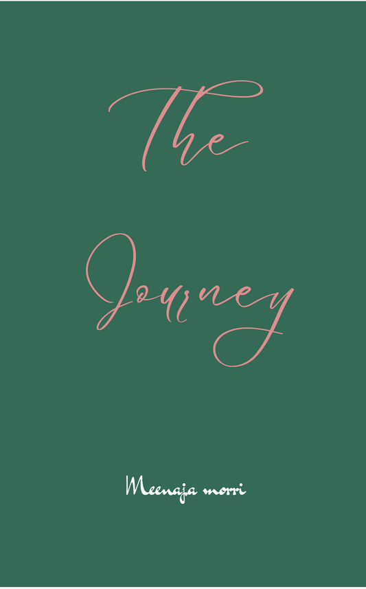 The journey