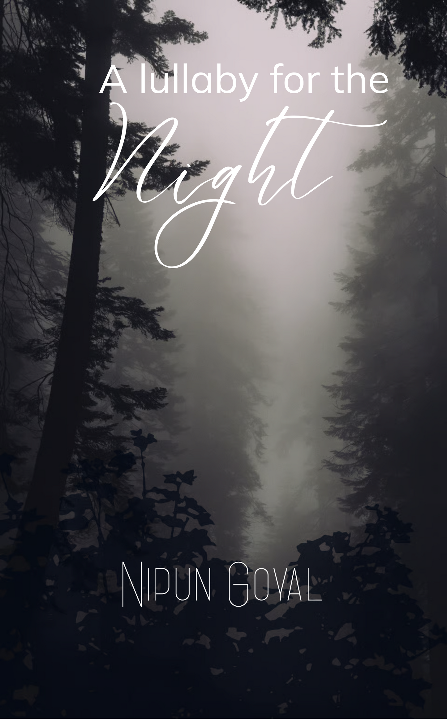 A Lullaby for the Night
