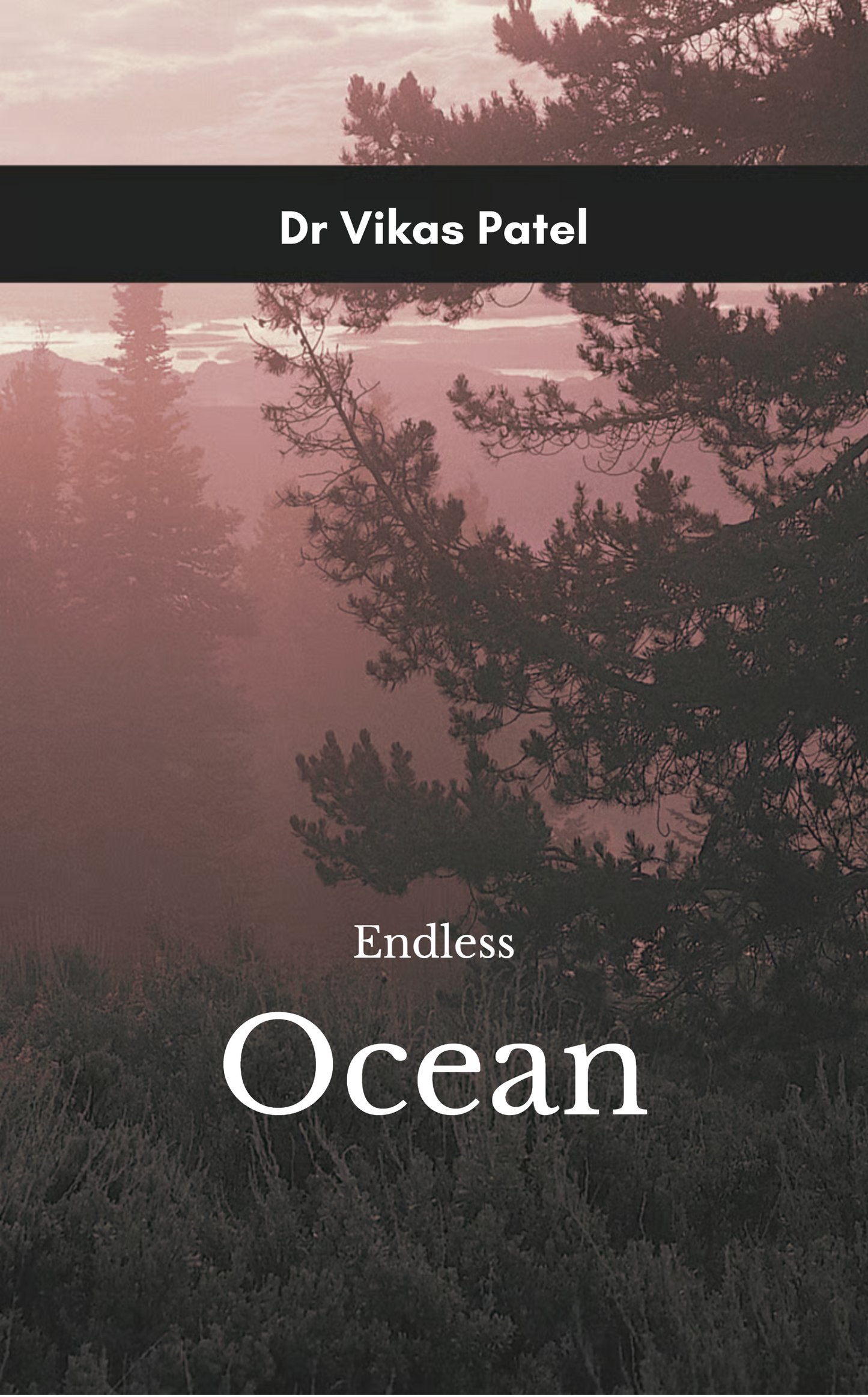 Endless Ocean