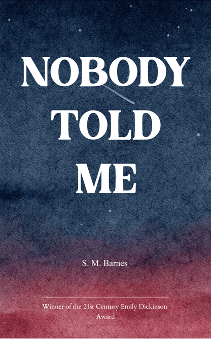 NOBODY TOLD ME