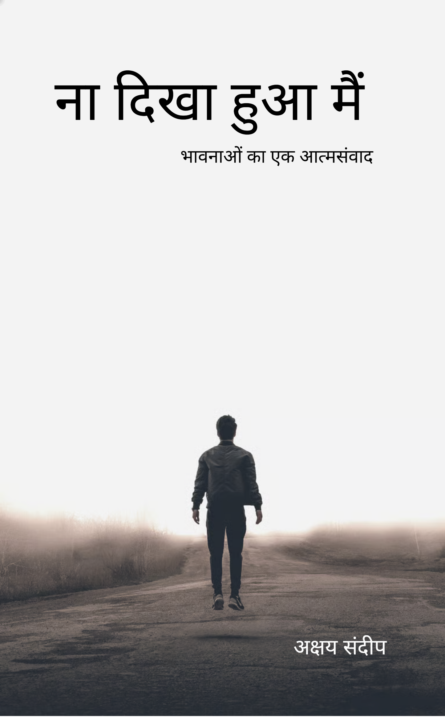 ना दिखा हुआ मैं