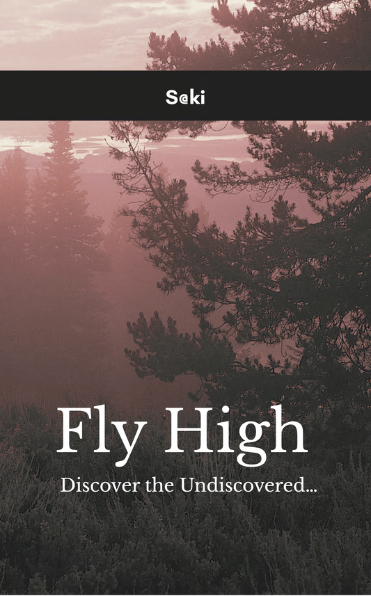 Fly High