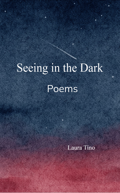 Seeing in the Dark