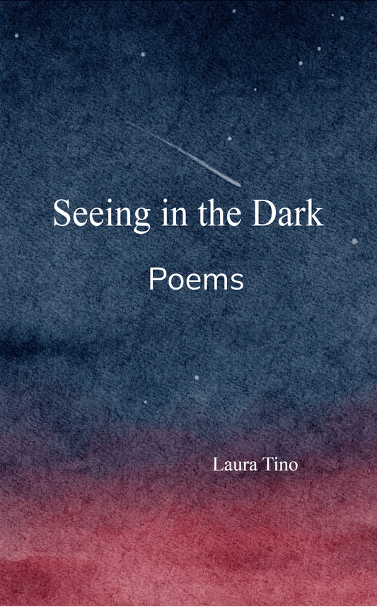 Seeing in the Dark