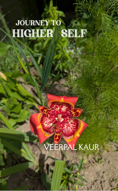 A journey to Higher Self