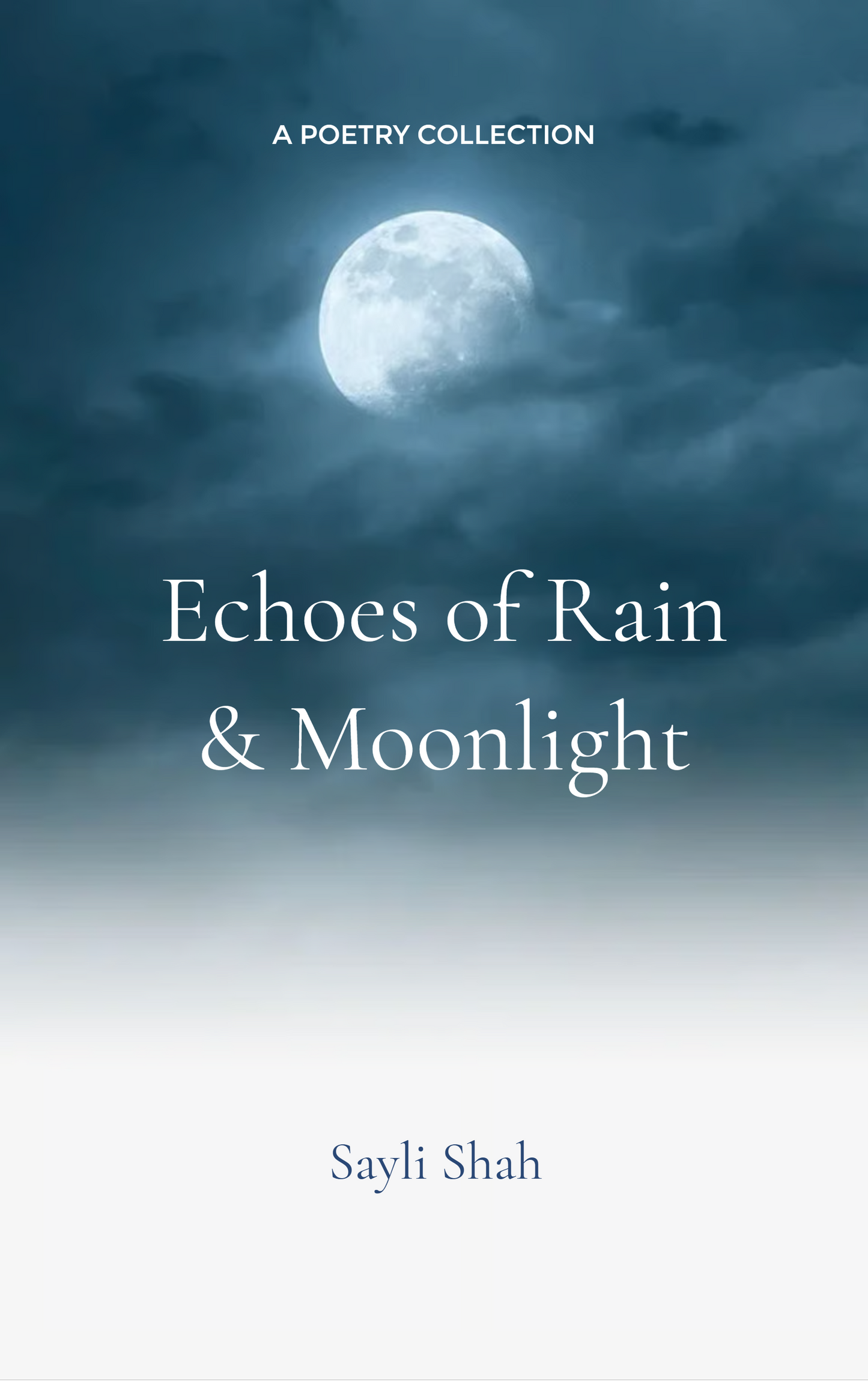 Echoes of Rain & Moonlight