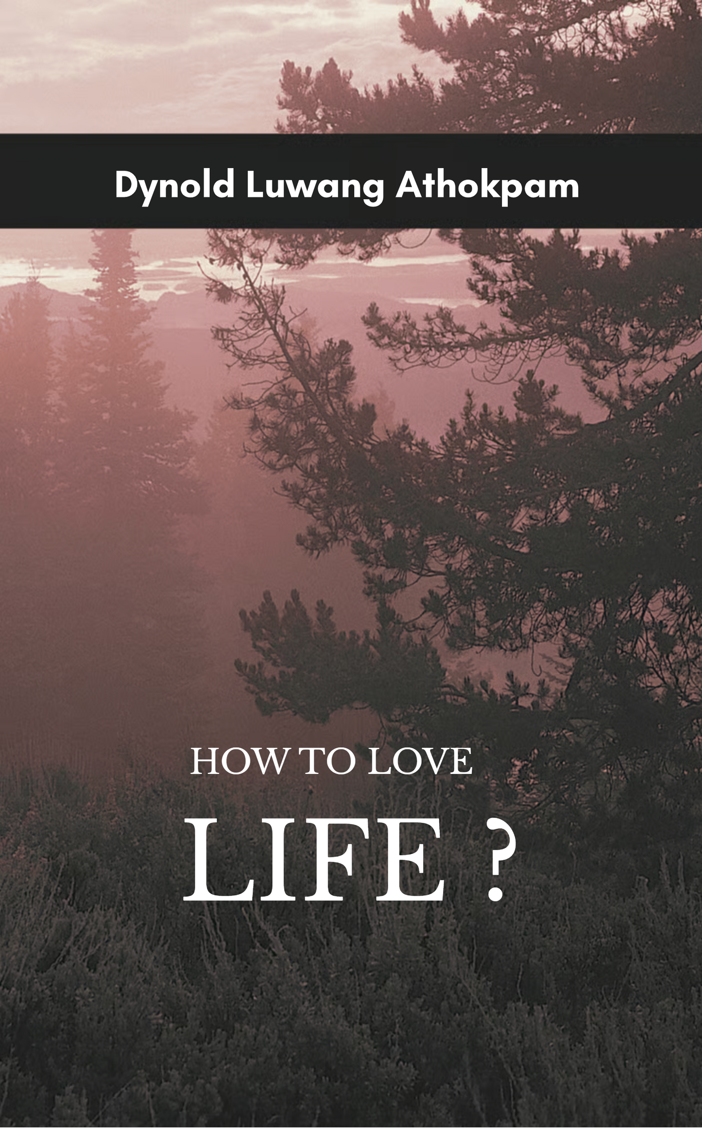 HOW TO LOVE LIFE?